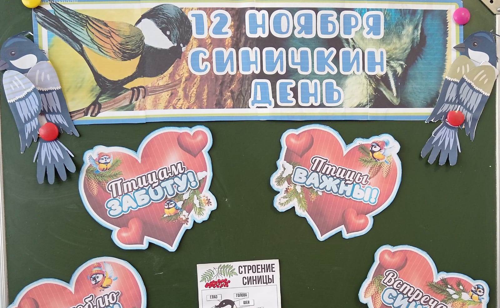 179.jpg
